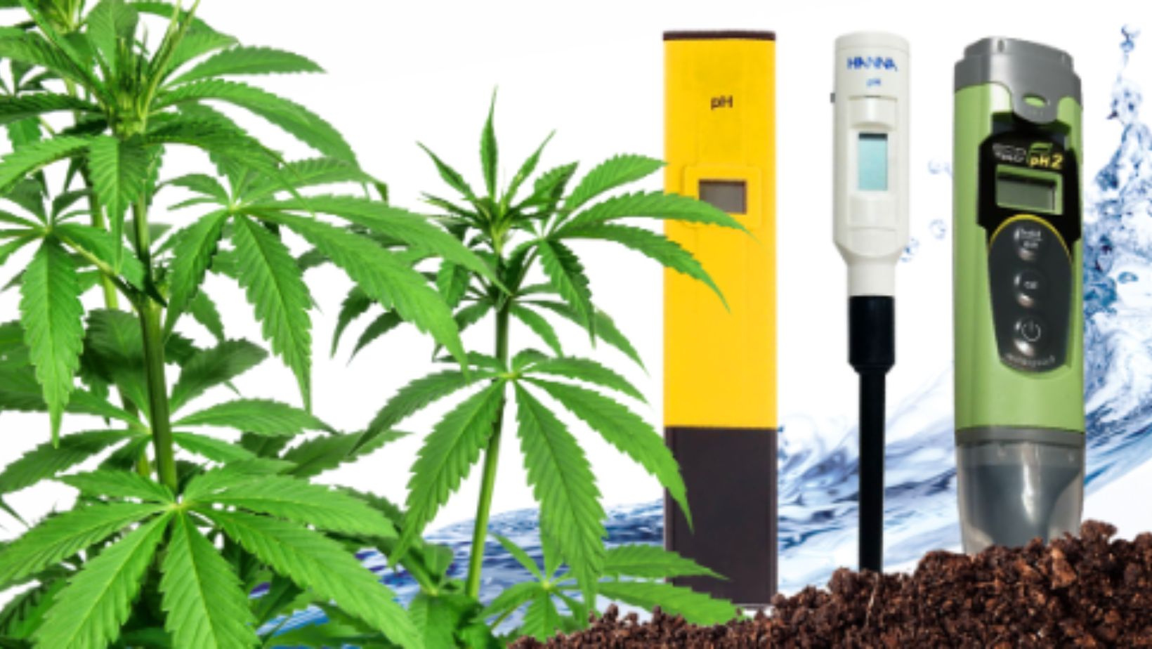 pH Meters for Cannabis