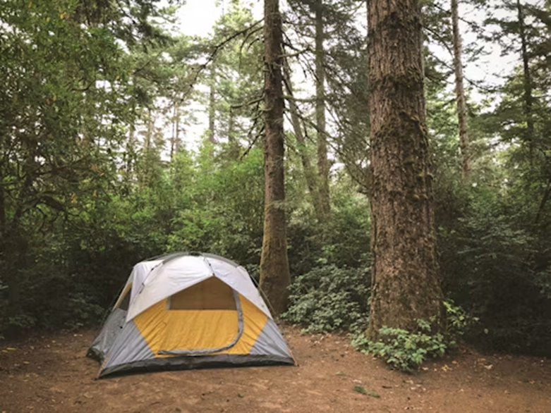 camping in the forest