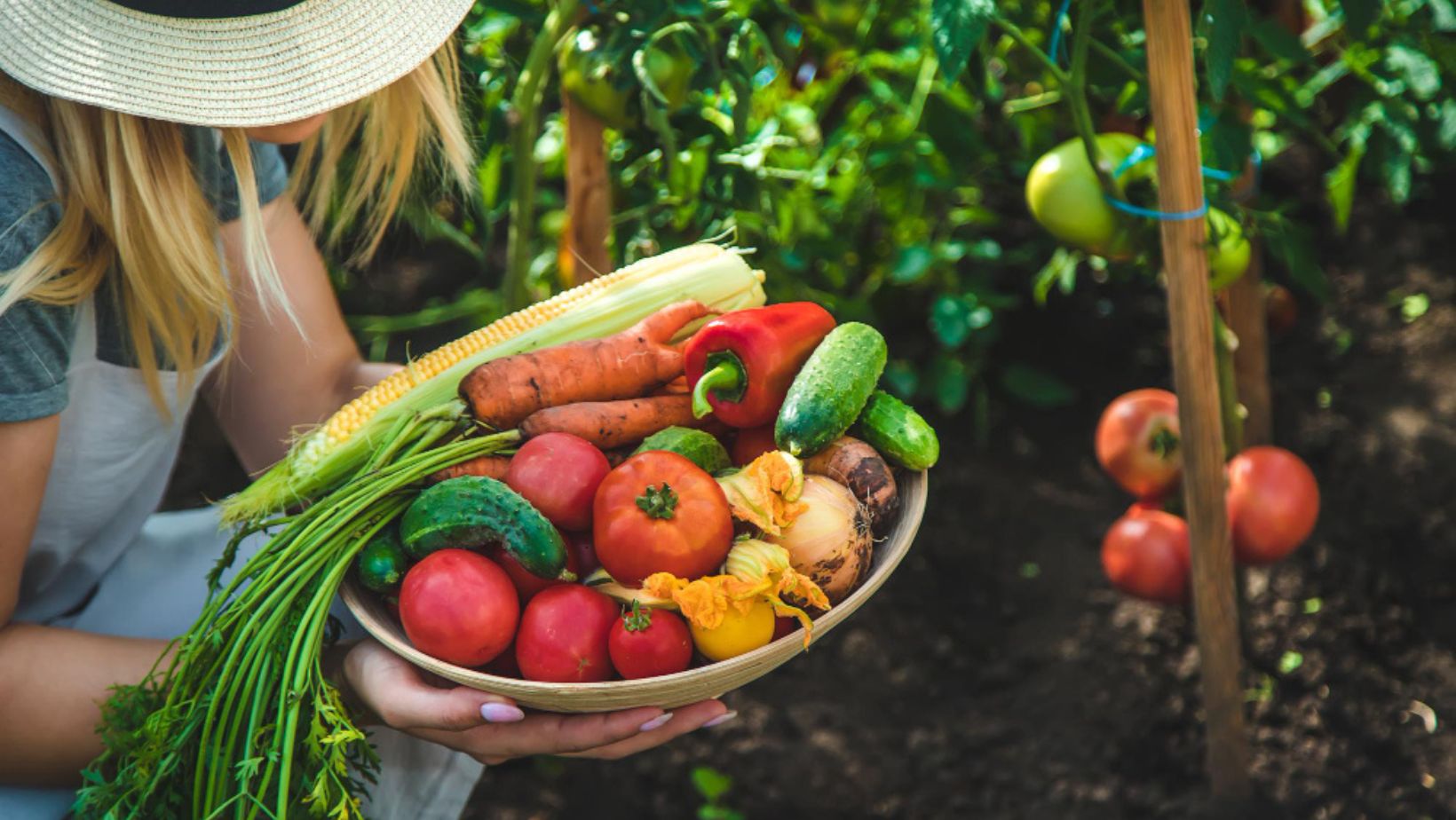 Farmer woman harvests vegetables in the gardenMeta title: Achieve Home Vegetable Garden Success with These Essential Steps