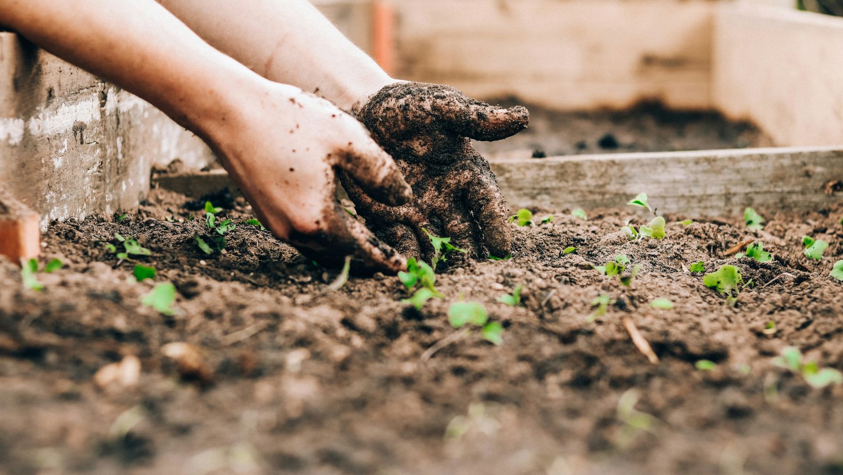 Picture of a person working in the garden