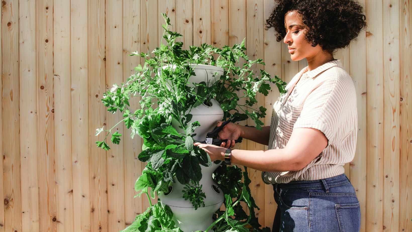 Picture of a person enjoying one of New Jersey's best neighborhoods for gardeners