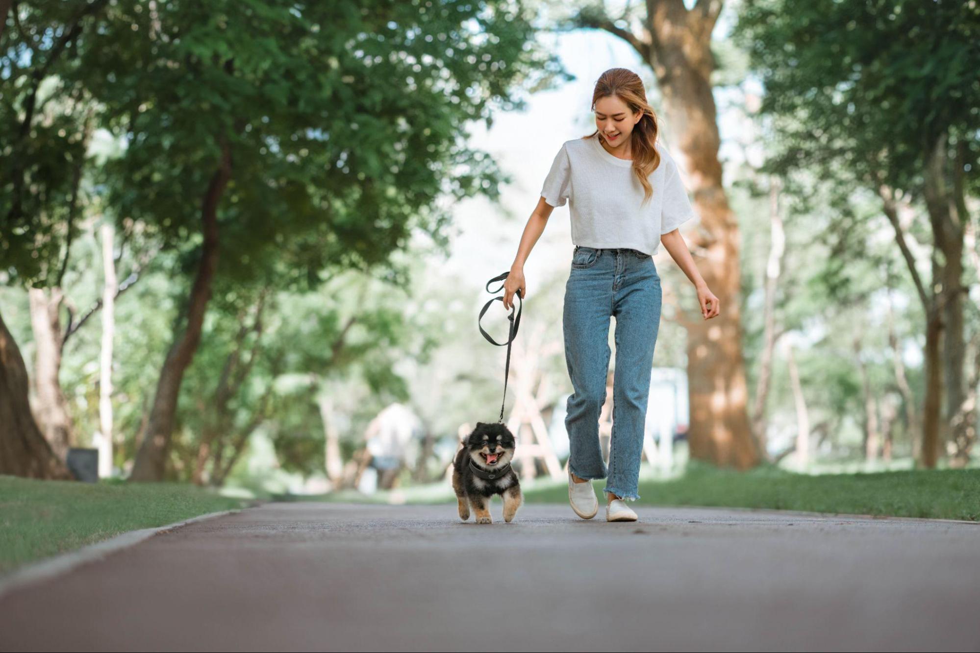 woman and dog walking in park